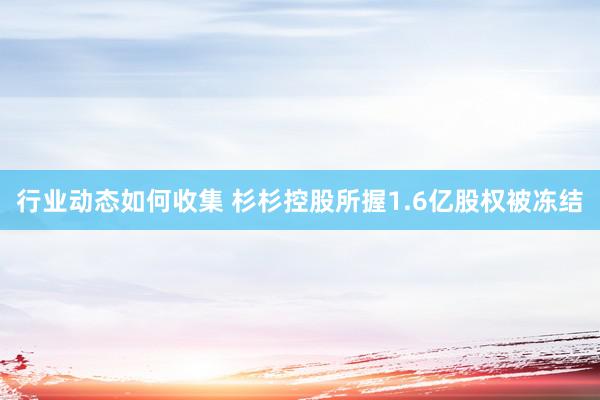 行业动态如何收集 杉杉控股所握1.6亿股权被冻结