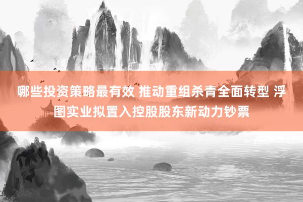 哪些投资策略最有效 推动重组杀青全面转型 浮图实业拟置入控股股东新动力钞票