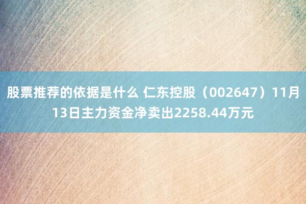 股票推荐的依据是什么 仁东控股（002647）11月13日主力资金净卖出2258.44万元