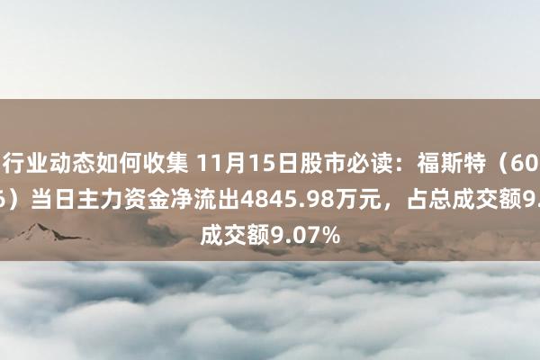 行业动态如何收集 11月15日股市必读：福斯特（603806）当日主力资金净流出4845.98万元，占总成交额9.07%