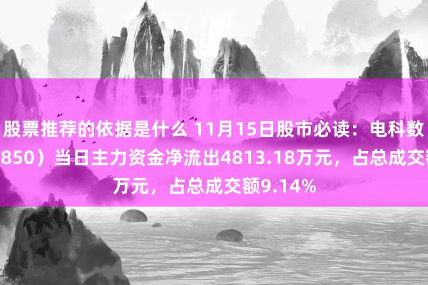 股票推荐的依据是什么 11月15日股市必读：电科数字（600850）当日主力资金净流出4813.18万元，占总成交额9.14%