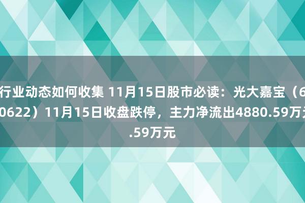 行业动态如何收集 11月15日股市必读：光大嘉宝（600622）11月15日收盘跌停，主力净流出4880.59万元