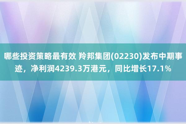 哪些投资策略最有效 羚邦集团(02230)发布中期事迹，净利润4239.3万港元，同比增长17.1%