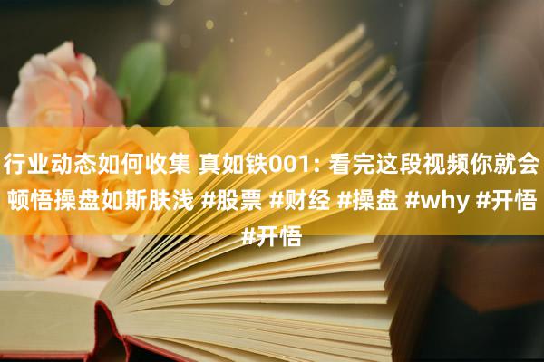 行业动态如何收集 真如铁001: 看完这段视频你就会顿悟操盘如斯肤浅 #股票 #财经 #操盘 #why #开悟