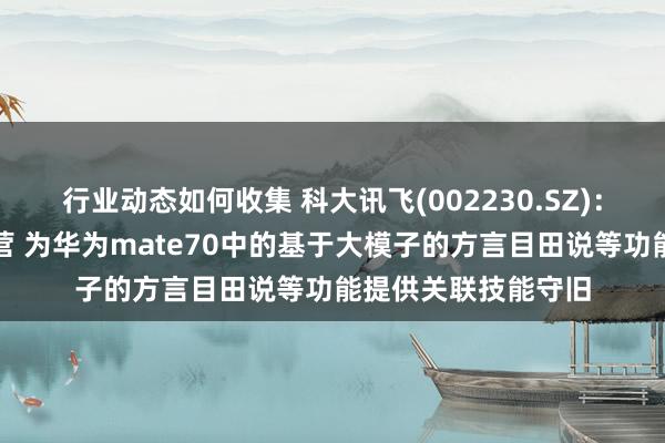 行业动态如何收集 科大讯飞(002230.SZ)：与华为保捏清雅合营 为华为mate70中的基于大模子的方言目田说等功能提供关联技能守旧