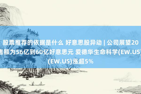 股票推荐的依据是什么 好意思股异动 | 公司展望2025年销售额为56亿到60亿好意思元 爱德华生命科学(EW.US)涨超5%