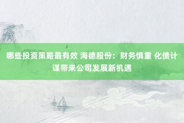 哪些投资策略最有效 海德股份：财务慎重 化债计谋带来公司发展新机遇