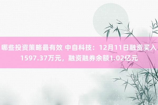 哪些投资策略最有效 中自科技：12月11日融资买入1597.37万元，融资融券余额1.02亿元