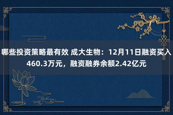 哪些投资策略最有效 成大生物：12月11日融资买入460.3万元，融资融券余额2.42亿元