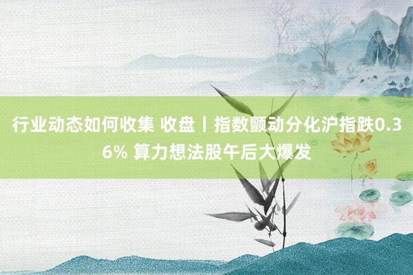 行业动态如何收集 收盘丨指数颤动分化沪指跌0.36% 算力想法股午后大爆发