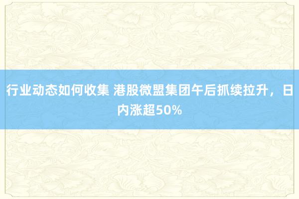 行业动态如何收集 港股微盟集团午后抓续拉升，日内涨超50%