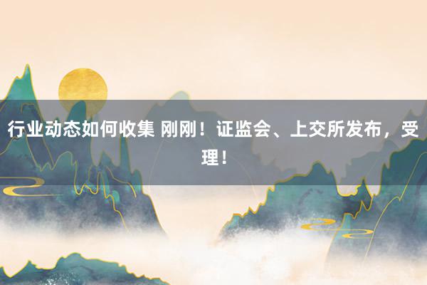 行业动态如何收集 刚刚！证监会、上交所发布，受理！