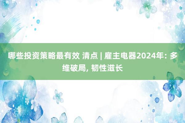 哪些投资策略最有效 清点 | 雇主电器2024年: 多维破局, 韧性滋长