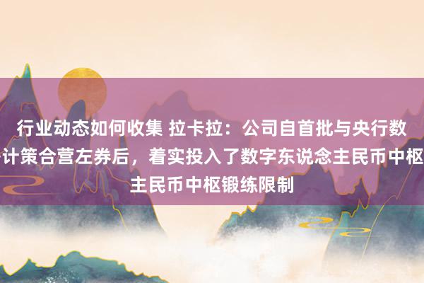 行业动态如何收集 拉卡拉：公司自首批与央行数研所签署计策合营左券后，着实投入了数字东说念主民币中枢锻练限制