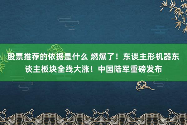 股票推荐的依据是什么 燃爆了！东谈主形机器东谈主板块全线大涨