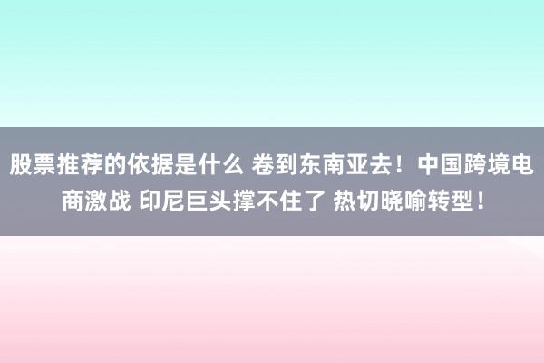 股票推荐的依据是什么 卷到东南亚去！中国跨境电商激战 印尼巨头撑不住了 热切晓喻转型！