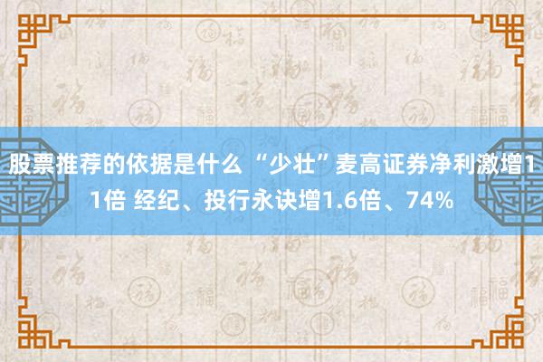 股票推荐的依据是什么 “少壮”麦高证券净利激增11倍 经纪、