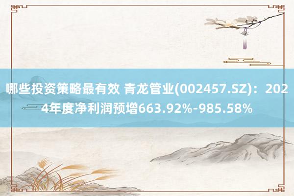 哪些投资策略最有效 青龙管业(002457.SZ)：2024年度净利润预增663.92%-985.58%