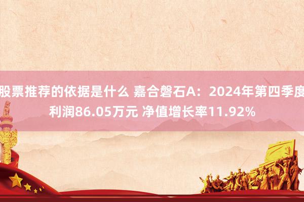 股票推荐的依据是什么 嘉合磐石A：2024年第四季度利润86.05万元 净值增长率11.92%