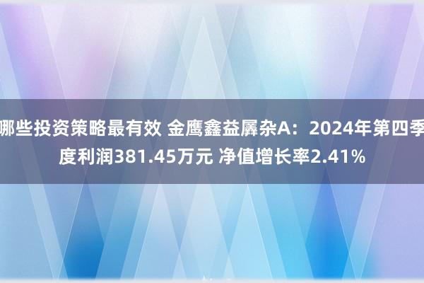 哪些投资策略最有效 金鹰鑫益羼杂A：2024年第四季度利润381.45万元 净值增长率2.41%