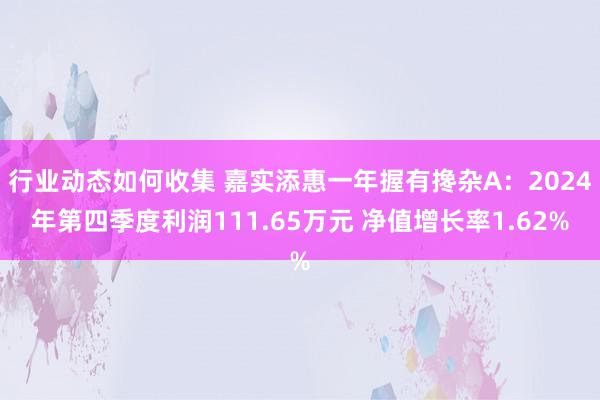 行业动态如何收集 嘉实添惠一年握有搀杂A：2024年第四季度利润111.65万元 净值增长率1.62%