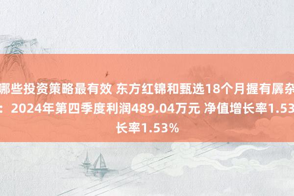 哪些投资策略最有效 东方红锦和甄选18个月握有羼杂A：2024年第四季度利润489.04万元 净值增长率1.53%