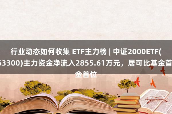 行业动态如何收集 ETF主力榜 | 中证2000ETF(56