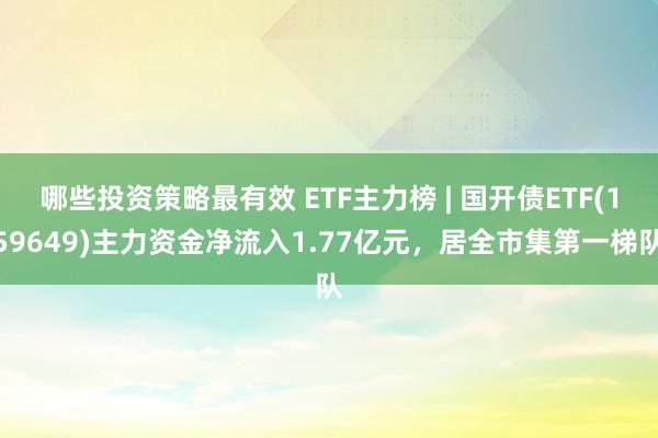 哪些投资策略最有效 ETF主力榜 | 国开债ETF(1596