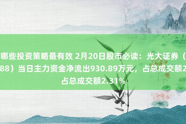 哪些投资策略最有效 2月20日股市必读：光大证券（601788）当日主力资金净流出930.89万元，占总成交额2.31%