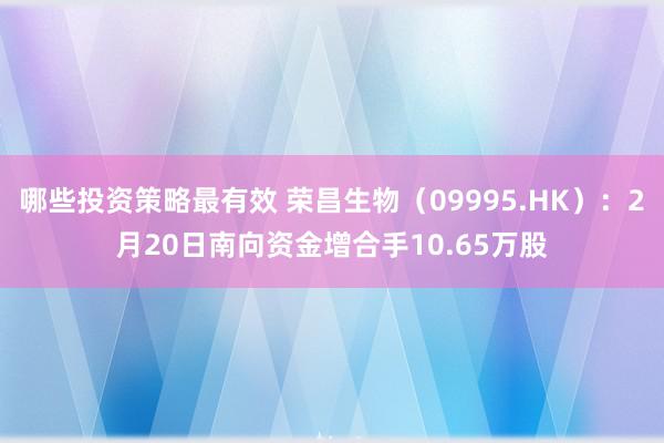 哪些投资策略最有效 荣昌生物（09995.HK）：2月20日南向资金增合手10.65万股