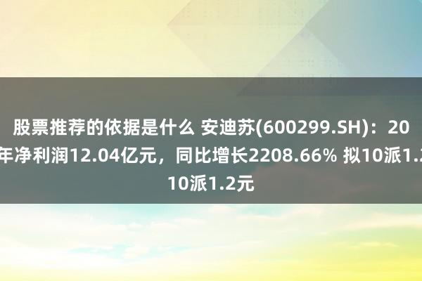 股票推荐的依据是什么 安迪苏(600299.SH)：2024年净利润12.04亿元，同比增长2208.66% 拟10派1.2元