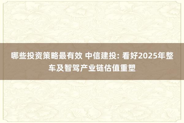 哪些投资策略最有效 中信建投: 看好2025年整车及智驾产业链估值重塑