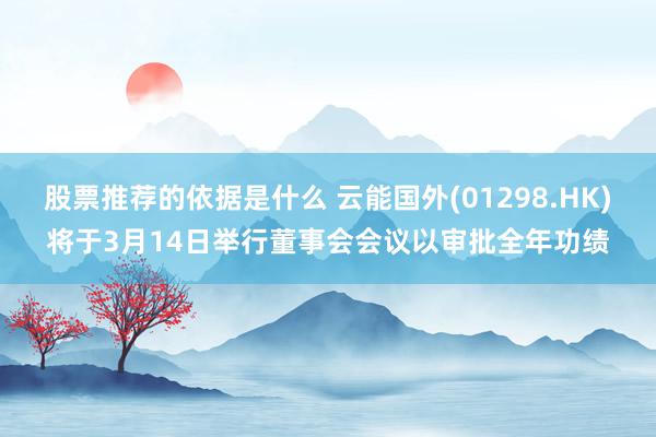 股票推荐的依据是什么 云能国外(01298.HK)将于3月14日举行董事会会议以审批全年功绩