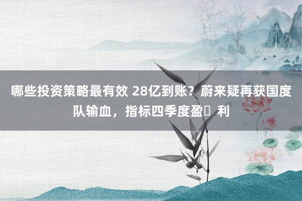 哪些投资策略最有效 28亿到账？蔚来疑再获国度队输血，指标四季度盈​利