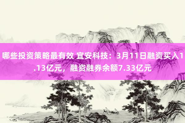 哪些投资策略最有效 宜安科技：3月11日融资买入1.13亿元