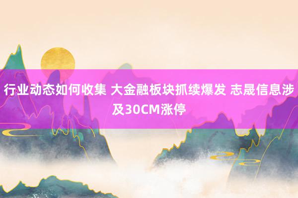 行业动态如何收集 大金融板块抓续爆发 志晟信息涉及30CM涨