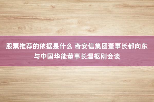 股票推荐的依据是什么 奇安信集团董事长都向东与中国华能董事长温枢刚会谈