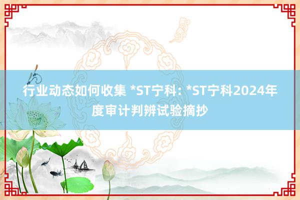 行业动态如何收集 *ST宁科: *ST宁科2024年度审计判辨试验摘抄