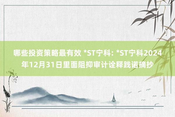 哪些投资策略最有效 *ST宁科: *ST宁科2024年12月31日里面阻抑审计诠释践诺摘抄