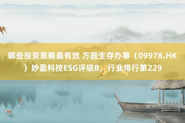 哪些投资策略最有效 方圆生存办事（09978.HK）妙盈科技